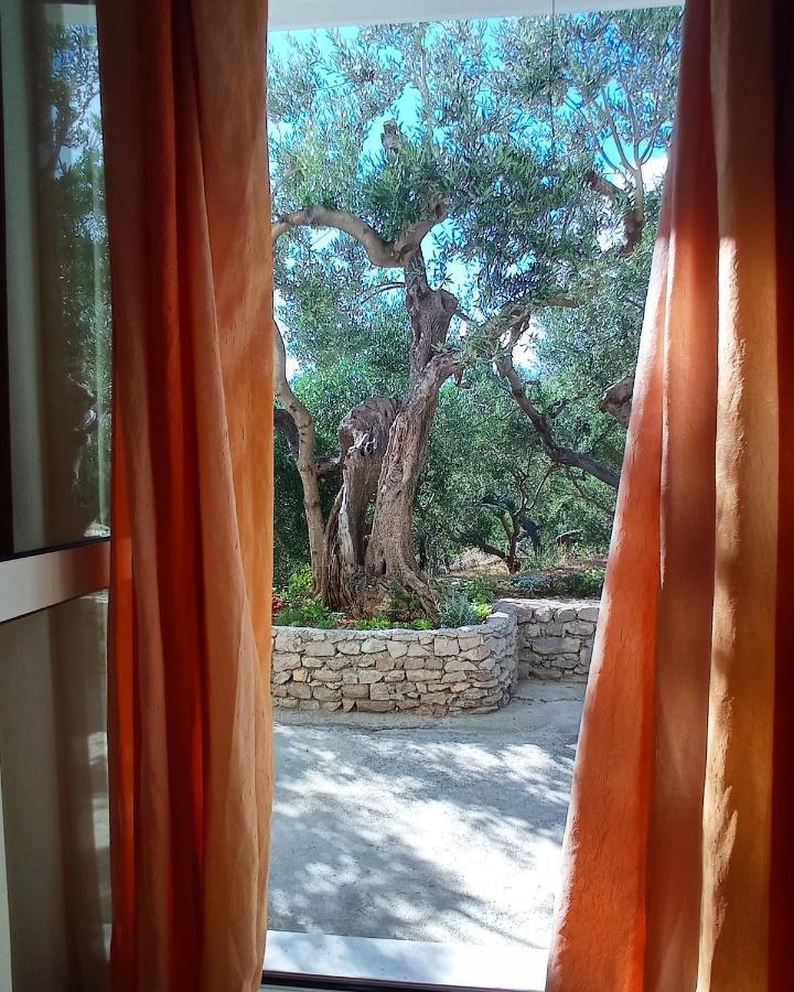 شقة Casa Del Olivo Tučepi المظهر الخارجي الصورة
