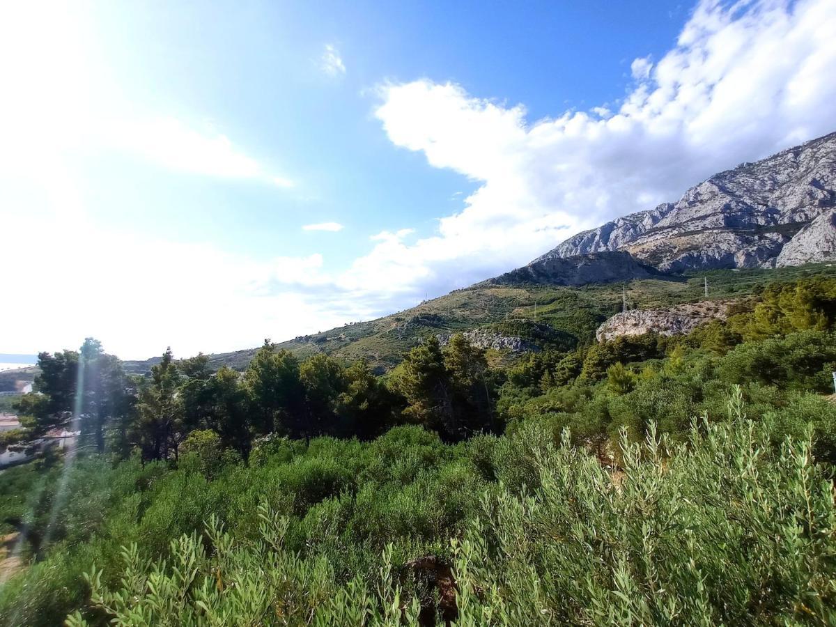 شقة Casa Del Olivo Tučepi المظهر الخارجي الصورة